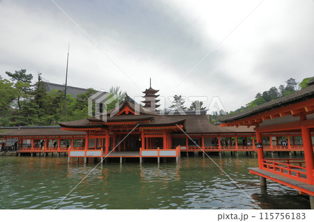 安芸の宮島の五重塔を背景にした厳島神社本殿の風景 安芸の宮島の五重塔を背景にした厳島神社本殿の風景 115756183