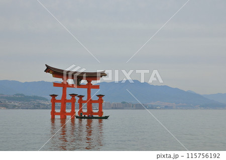 ろかい舟に乗った観光客が厳島神社の大鳥居をくぐる光景 115756192
