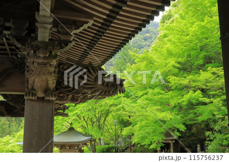 安芸の宮島大聖院の龍の彫刻と鮮やかな青もみじの景色 115756237