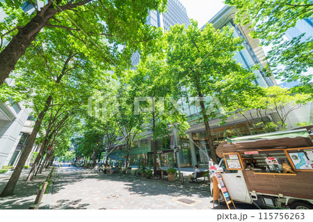 【東京都】新緑に包まれた丸の内仲通りの風景　初夏 115756263