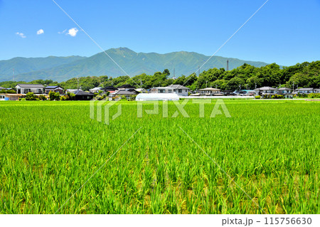 長野県伊那市美篶より経ヶ岳方面を望む(長野県伊那市)【2024.6】 115756630