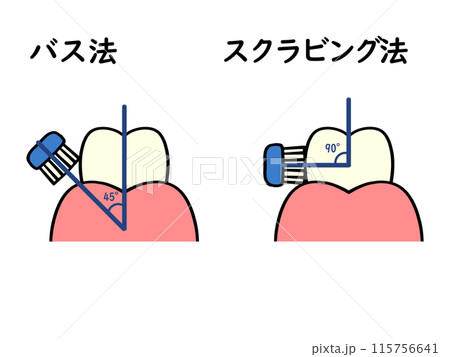 安い バス 法 イラスト