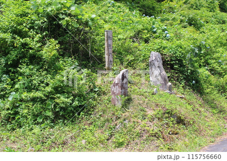 かぐまのちから石 かぐまのちから石 115756660