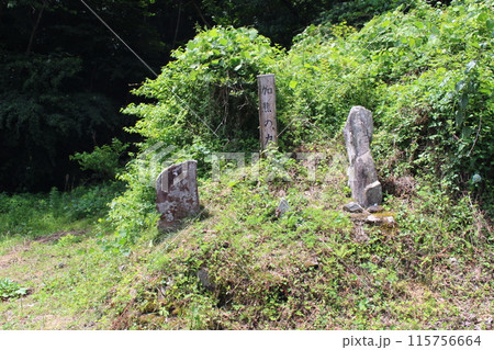 かぐまのちから石 115756664