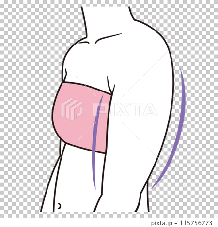 Rounded shoulders and thick upper arms Rounded shoulders and thick upper arms 115756773