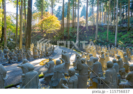 雲辺寺の五百羅漢の風景 115756837