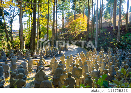 雲辺寺の五百羅漢の風景 雲辺寺の五百羅漢の風景 115756838