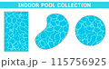 Indoor pool collection  Various shapes of indoor swimming pool illustrations - rectangles, ovals, and circles 115756925