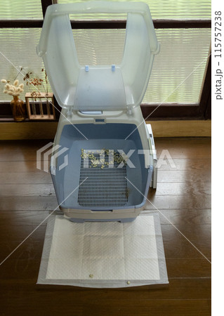 猫のトイレ 砂をあまり入れていないペットトイレ 猫のトイレ 砂をあまり入れていないペットトイレ 115757238