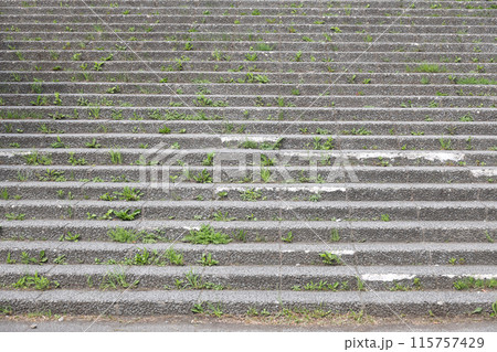 階段、段差、石段、石、コンクリート、屋外、公園、公共施設、段、歩く、上がる、登る 115757429