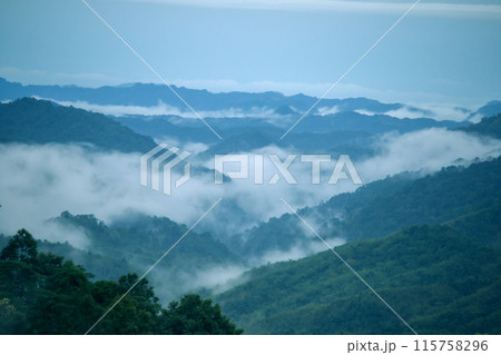 Misty clouds float above the mountains Misty clouds float above the mountains 115758296