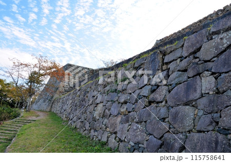 米子城跡 本丸の石垣 115758641
