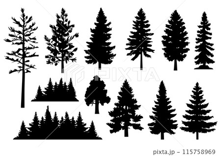 Silhouette trees collections. Abstract vector illustration Silhouette trees collections. Abstract vector illustration 115758969