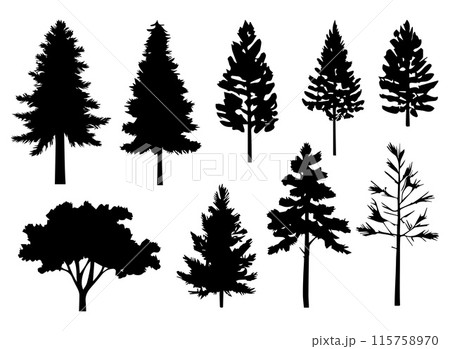 Silhouette pines trees collections. Abstract vector Silhouette pines trees collections. Abstract vector 115758970