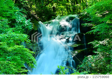 マイナスイオンたっぷりの平谷大滝  115759060