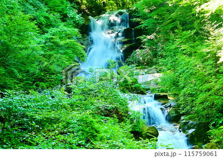 マイナスイオンたっぷりの平谷大滝  115759061