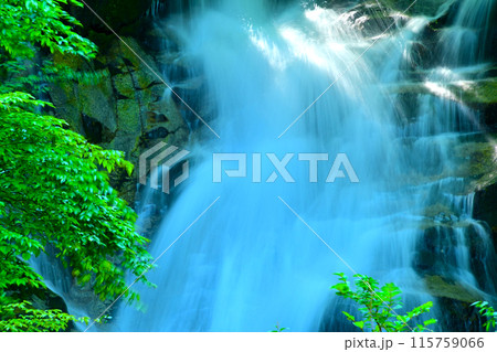 豪快に流れ落ちる平谷大滝 豪快に流れ落ちる平谷大滝 115759066