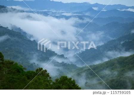 Misty clouds float above the mountains Misty clouds float above the mountains 115759105