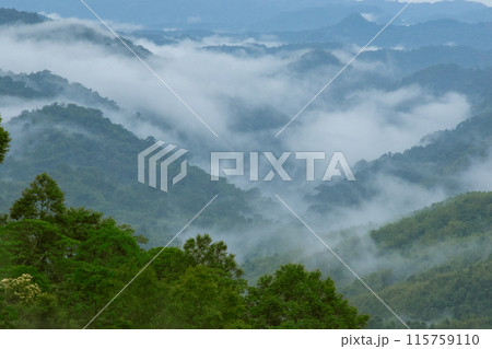 Misty clouds float above the mountains 115759110