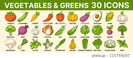 Vegetables and greens, vector colorful icon set. Vegetable line signs. Outline icons collection of veggies. Concept of farming, vegetarian and vegan food, proper nutrition, harvesting, eco produce Vegetables and greens, vector colorful icon set. Vegetable line signs. Outline icons collection of veggies. Concept of farming, vegetarian and vegan food, proper nutrition, harvesting, eco produce 115759207