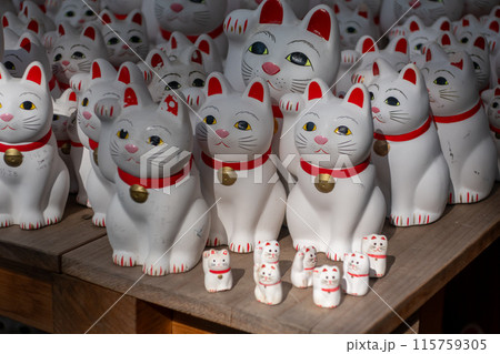 豪徳寺の招き猫　招福猫児 115759305