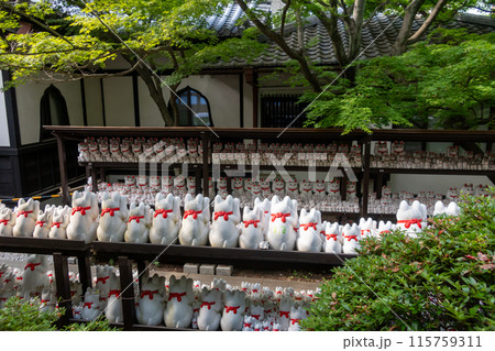 豪徳寺の招き猫　招福猫児 115759311