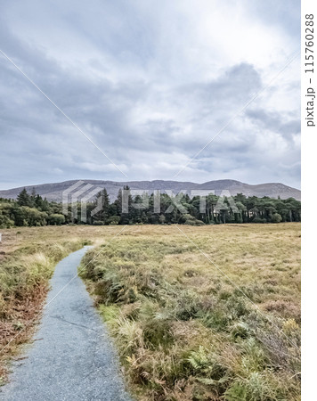 Path in Glenveagh National Park, Republic Donegal, Ireland 115760288