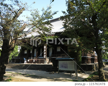 台東区の寛永寺(根本中堂) 台東区の寛永寺(根本中堂) 115761478