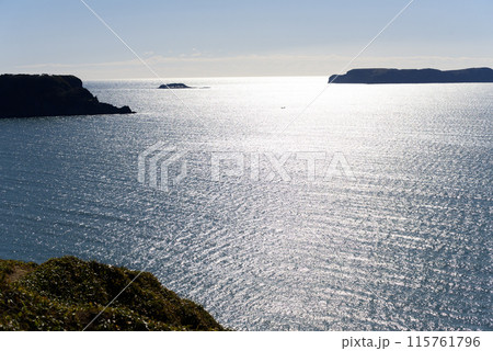 愛冠岬から見る大黒島 愛冠岬から見る大黒島 115761796