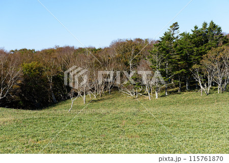 秋の愛冠岬から見た風景 秋の愛冠岬から見た風景 115761870