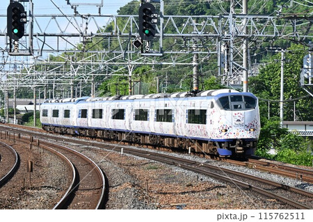 複々線東海道本線　島本駅を通過する 　特急はるか 115762511