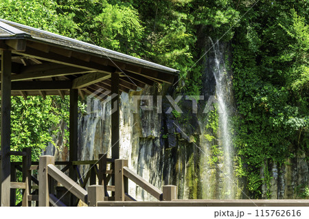 やくの玄武岩公園　京都府福知山市 115762616