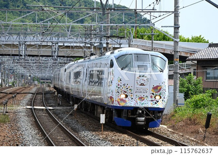 関空特急はるか　複々線東海道本線　島本駅を快走 115762637