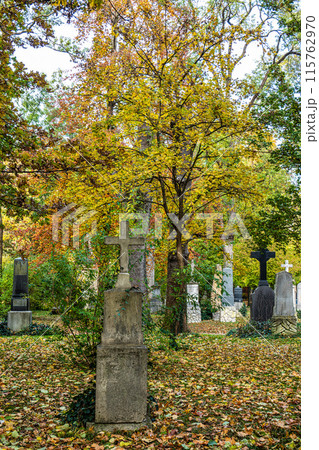 Munich, Germany - Nov 09, 2023 Munich, Germany - Nov 09, 2023 115762970