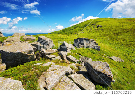 stones and boulders on the grassy alpine hills and meadows. carpathian mountain landscape of ukraine in summer on a bright sunny day. mountainous scenery of transcarpathia region. smooth polonyna in 115763219