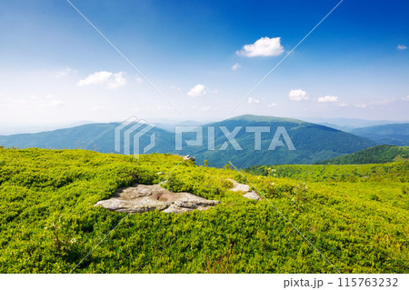 carpathian mountain landscape of ukraine in summer. alpine scenery of mnt. smooth with grassy hills on a sunny day beneath a blue sky with fluffy clouds. popular travel destination of transcarpathia carpathian mountain landscape of ukraine in summer. alpine scenery of mnt. smooth with grassy hills on a sunny day beneath a blue sky with fluffy clouds. popular travel destination of transcarpathia 115763232