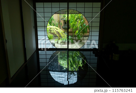 窓から見える庭 115763241
