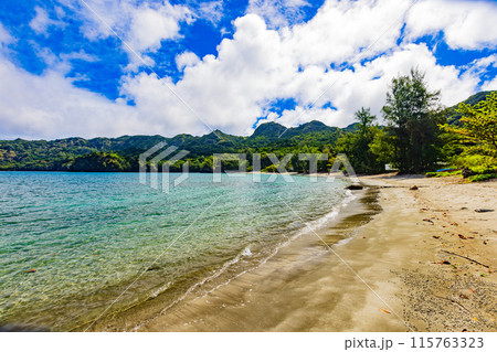小笠原諸島　境浦海岸から望む絶景 115763323