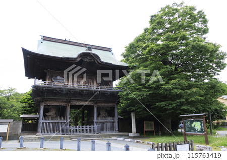 横浜市金沢区称名寺・稱名寺の春 横浜市金沢区称名寺・稱名寺の春 115763419