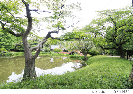 横浜市金沢区称名寺・稱名寺の春 115763424