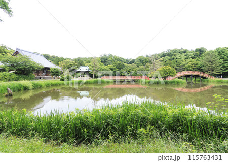 横浜市金沢区称名寺・稱名寺の春 115763431