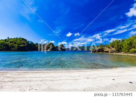 小笠原諸島 宮之浜から望む絶景 小笠原諸島 宮之浜から望む絶景 115763445