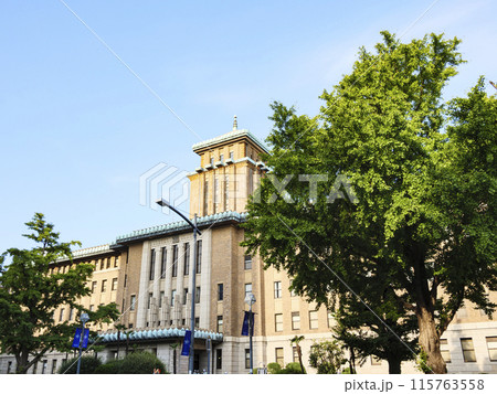 青空が広がる旧神奈川県庁の春 115763558