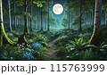 月夜の森と獣道 115763999