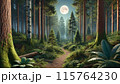 月明かりに照らされた森の小道 115764230