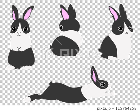 黒ハチワレうさぎ4ポーズセットのイラスト素材 [115764258] - PIXTA