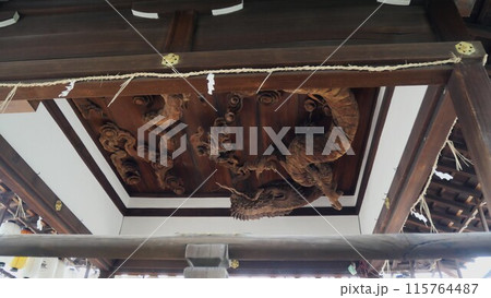 拝殿天井から見守る龍 拝殿天井から見守る龍 115764487