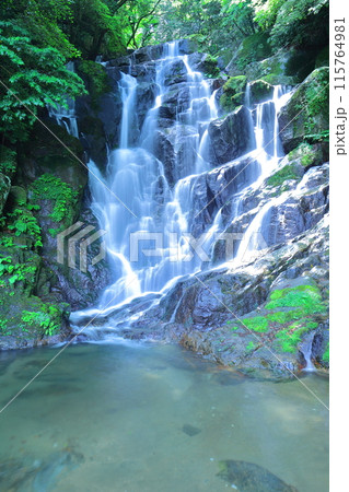 糸島市の白糸の滝 115764981