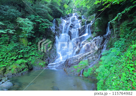 糸島市の白糸の滝 115764982