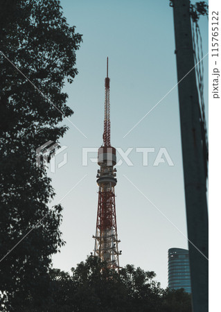 夕暮れの空にそびえる東京タワー 115765122